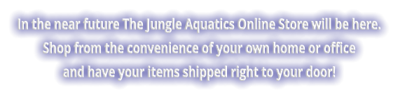 In the near future The Jungle Aquatics Online Store will be here. Shop from the convenience of your own home or office and have your items shipped right to your door!