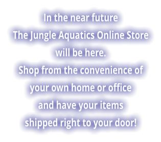 In the near future  The Jungle Aquatics Online Store will be here. Shop from the convenience of  your own home or office and have your items shipped right to your door!